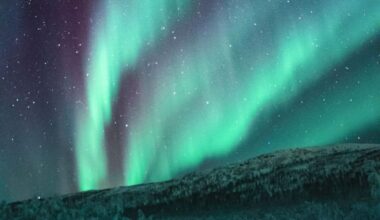 Don’t Miss The Northern Lights Tonight, Here’s Where And When To Watch!
