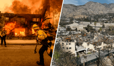 SoCal Edison makes 1st compensation payment to fire survivors – NBC Los Angeles