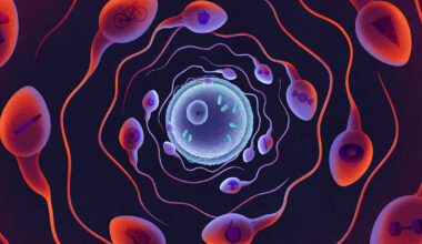 How Dad’s Fitness May Be Packaged and Passed Down in Sperm RNA