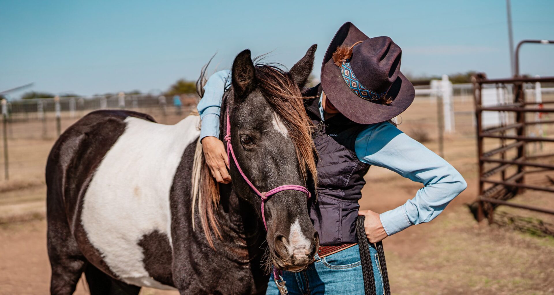 Fur Friday: Darth Vader finds his light at Humane Society of North Texas Equine Ranch
