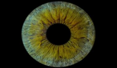 First Human Cornea Transplant Using 3D Printed, Lab-Grown Tissue Restores Sight in a ‘Game Changer’ for Millions Who are Blind
