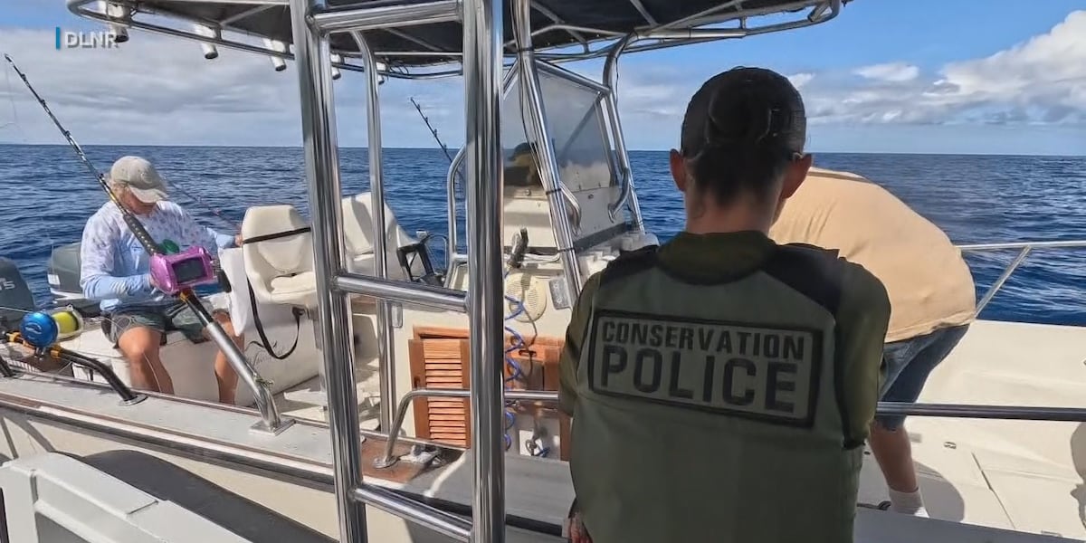 DLNR recruiting for state conservation officers