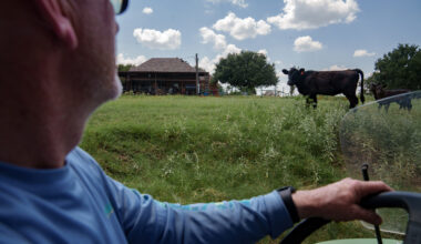 ‘Fallen on deaf ears.’ Sewage sludge continues to affect Johnson County farms, residents say