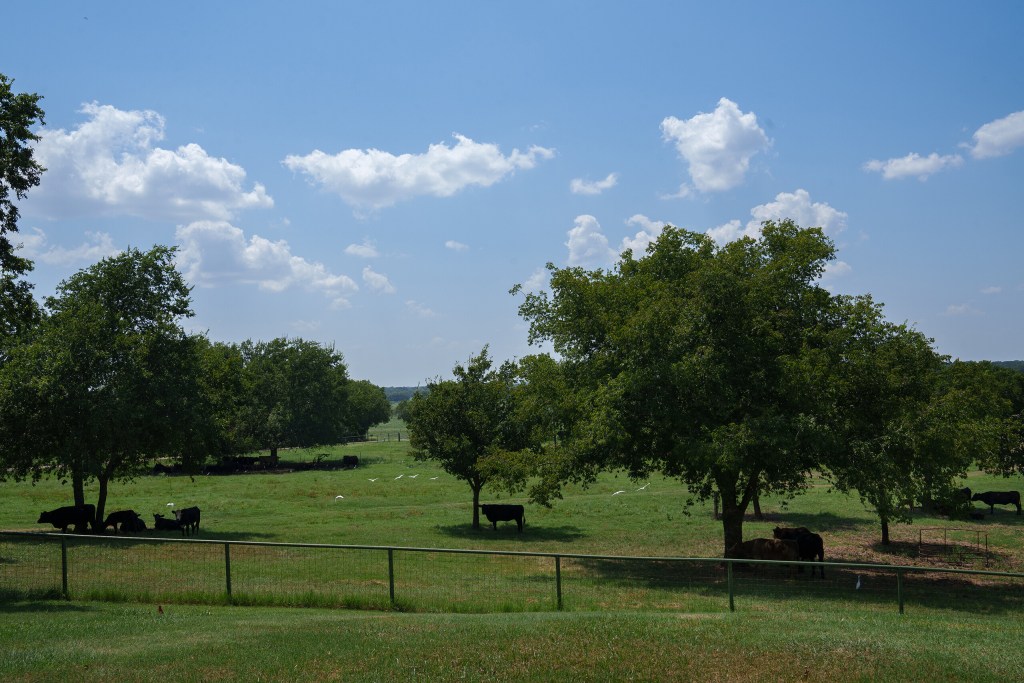 Azul Sordo for The Texas Tribune