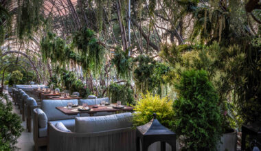 Immersive New Mexican Steakhouse Coming To Dallas With Fire Performances, Jungle Aesthetics, & More