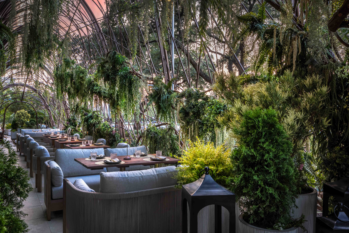 Immersive New Mexican Steakhouse Coming To Dallas With Fire Performances, Jungle Aesthetics, & More