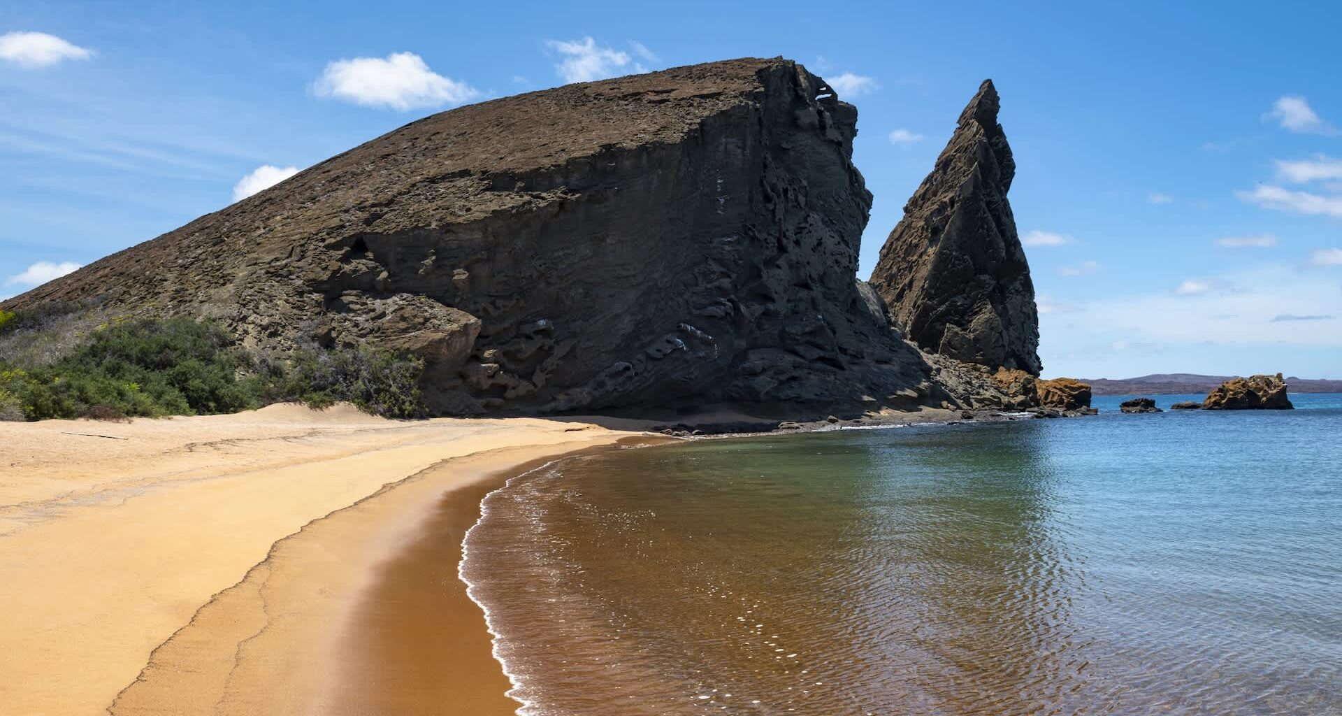 The Galápagos Islands are facing a fast-moving threat from an unexpected source: Fowler's snouted treefrogs.