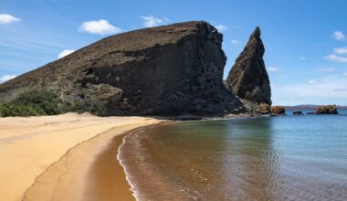 The Galápagos Islands are facing a fast-moving threat from an unexpected source: Fowler's snouted treefrogs.