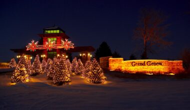 Raccoon falls through ceiling at Grand Geneva Resort, bites guest – NBC Chicago