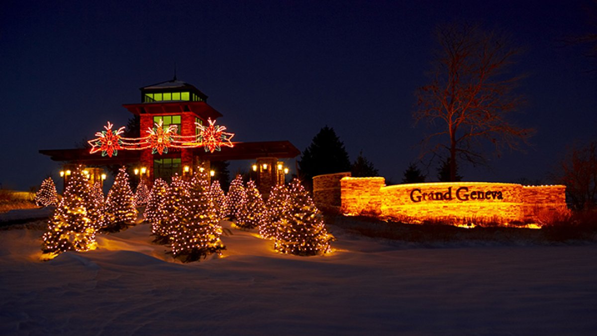 Raccoon falls through ceiling at Grand Geneva Resort, bites guest – NBC Chicago