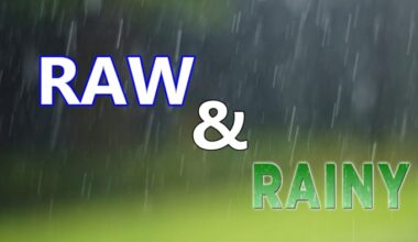 Another round of rain in Houston Monday, paired with chilly temperatures