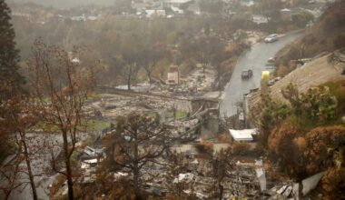 Pacific Palisades homeowner sues LA over Palisades Fire – NBC Los Angeles