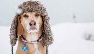 Edmonton, parts of Alberta warned 30 cm of snow possible on Wednesday