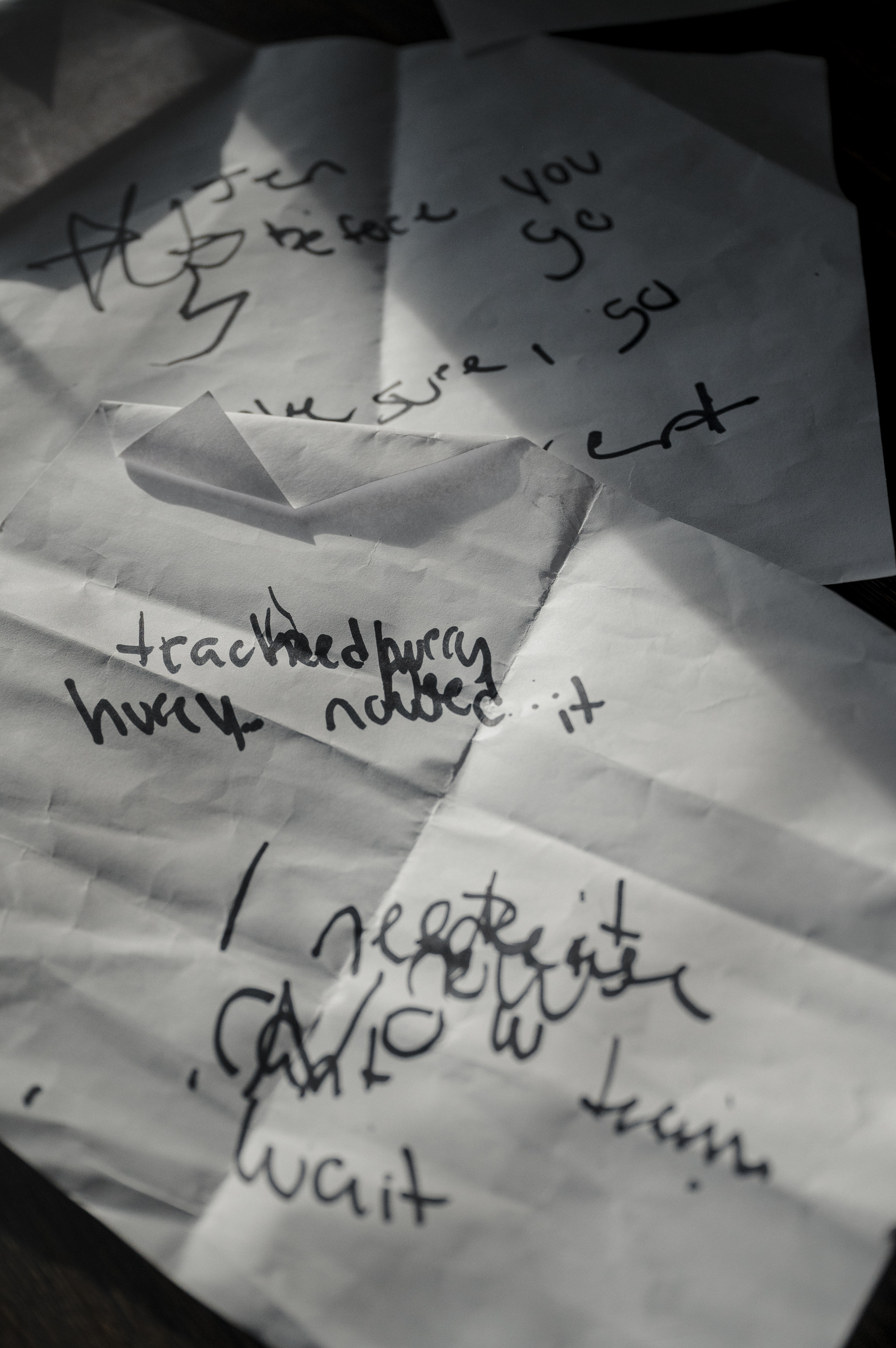 Two crumpled pieces of paper have various notes on them written in black sharpie. One note says, “I need it.”