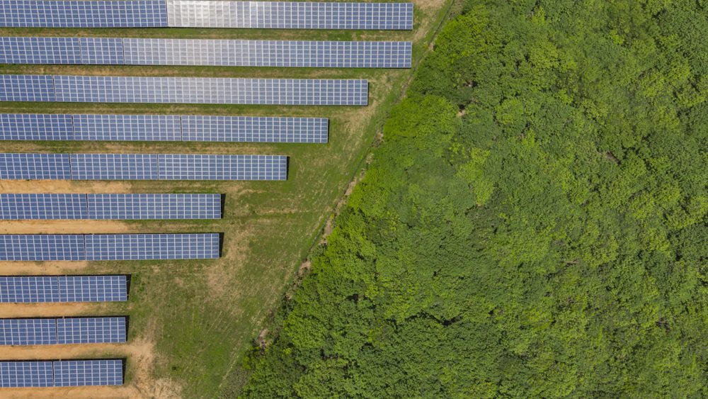 'Everything else pales in comparison'