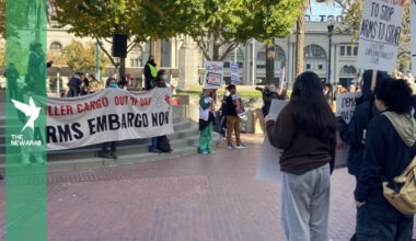 Thousands join US protests urging arms embargo on Israel