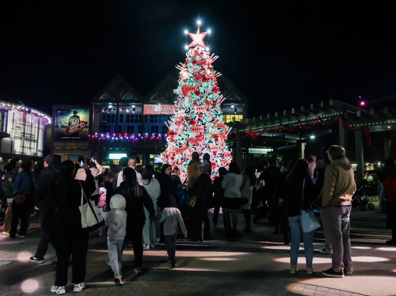 A holiday tree is the centerpiece, topped with a star, at a celebration in San DIego.