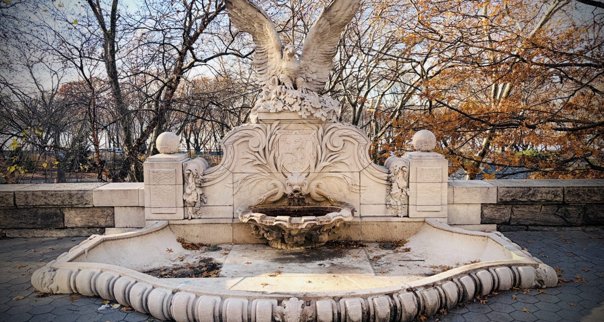 How a Dolphin Led Me to a Scandalous Story