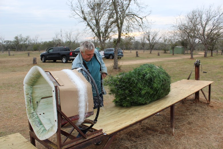 Jeffery Seiler wraps a tree in wire netting at Seiler Christmas Tree Farm on Dec. 5, 2025.