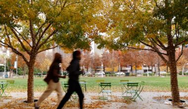 Forecast suggests near-record warmth for Christmas in D-FW. When will it cool down?