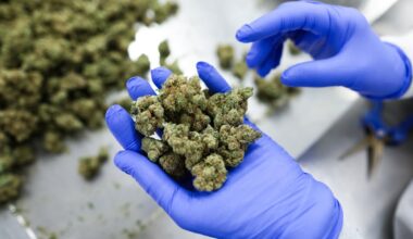 Trump order would allow more VA research on medical marijuana
