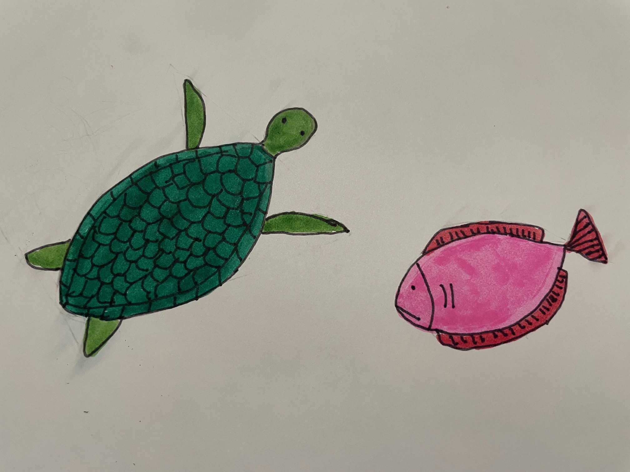 drawing of a turtle and a fish in felt tip pen next to a book with instructions on how to draw