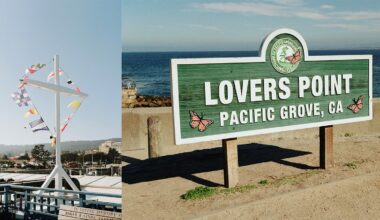 Kodak Kodacolor 35mm Film Is an Absolute Vibe