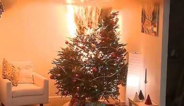 Phoenix-area fire officials give tips for safely removing used Christmas trees