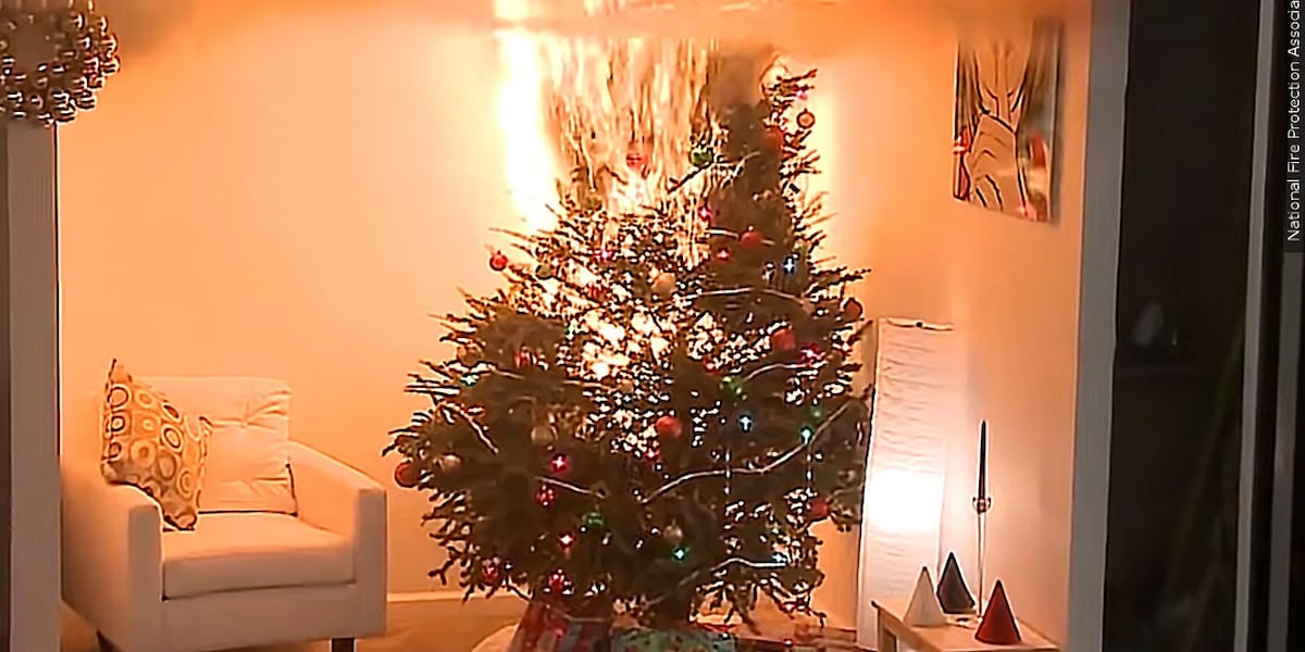 Phoenix-area fire officials give tips for safely removing used Christmas trees