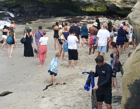 Cameras, viewing deck and new signs among S.D.’s ideas for La Jolla Cove access management – San Diego Union-Tribune