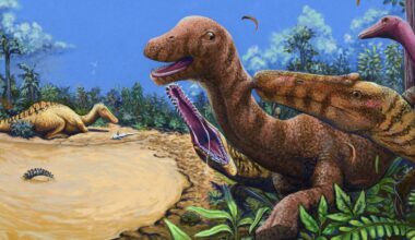 Spinosaurus relative longer than a pickup truck stalked Thailand's rivers 125 million years ago