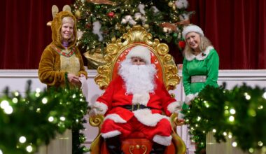 Mandarin Magic: Annual tree lighting kicks off holiday season