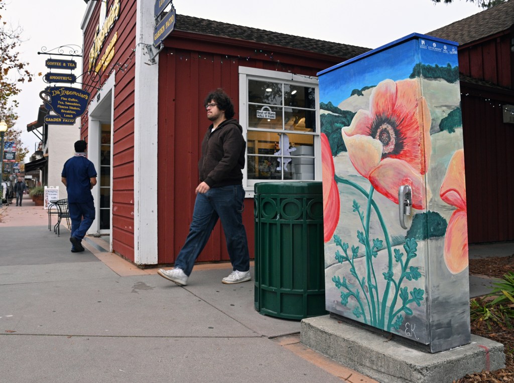 Novato seeks artists to paint more utility boxes