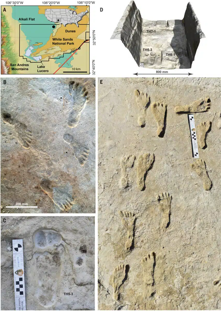 Map Of The Study Area Showing Ancient Footprints At White Sands National Park.
