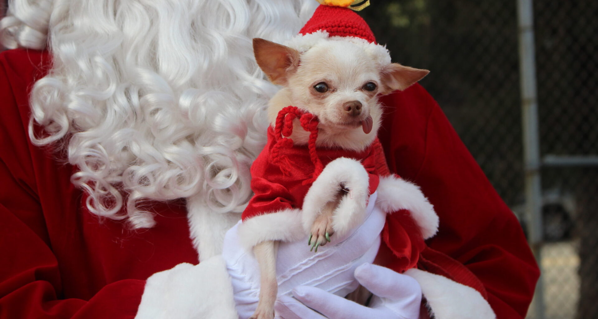 Merry Melrose, Winter Markets & UG Tea