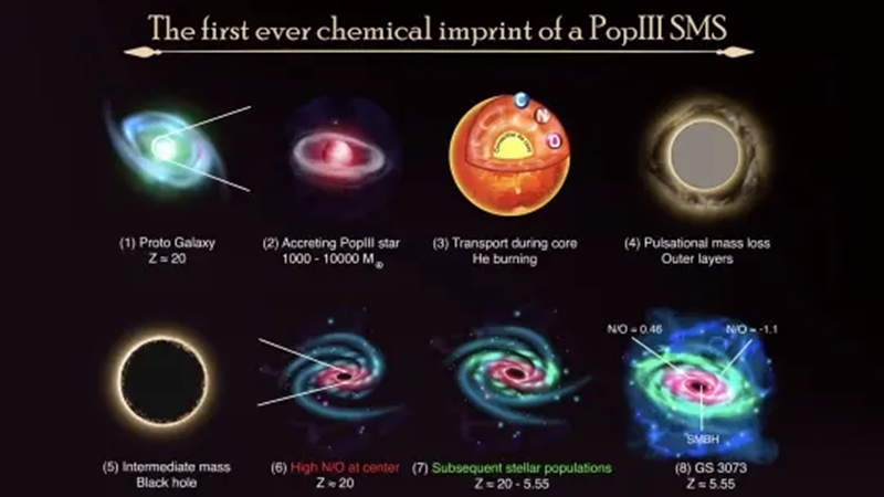 Graphic detailing how "monster stars" create the type of nitrogen excess observed around GS3073. Credit: Institute of Cosmology and Gravitation/University of Portsmouth