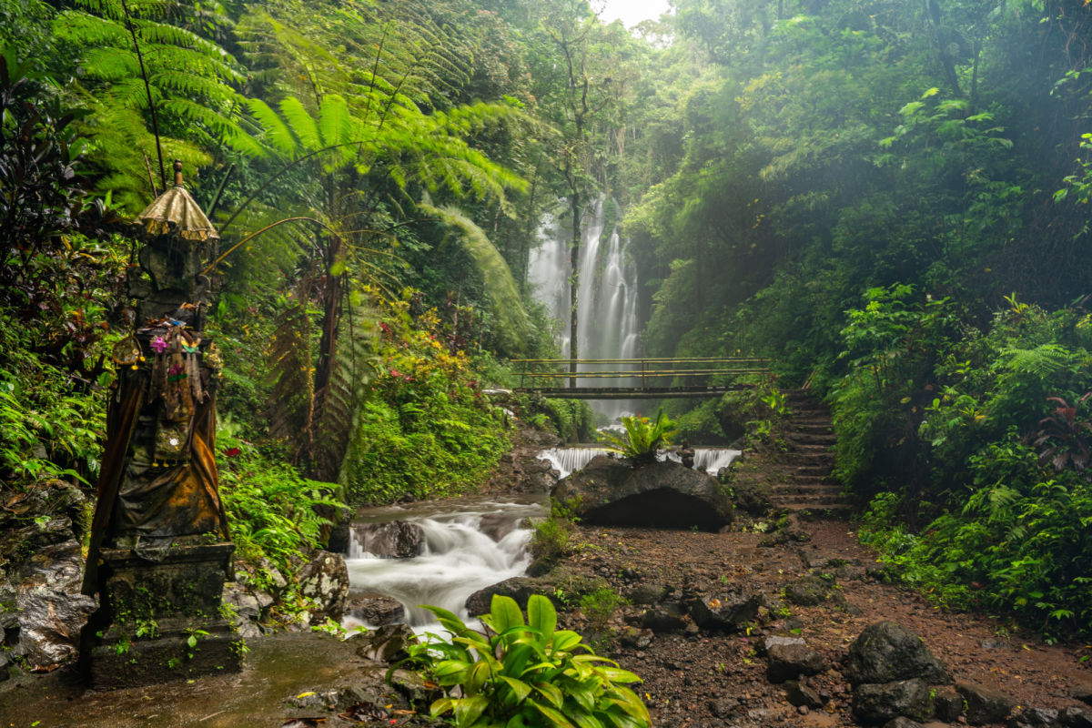 North Bali Munduk Waterfall.jpg