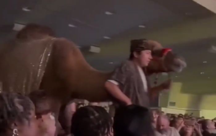 Woman kicked by camel and hurt during Christmas performance at Houston-area church