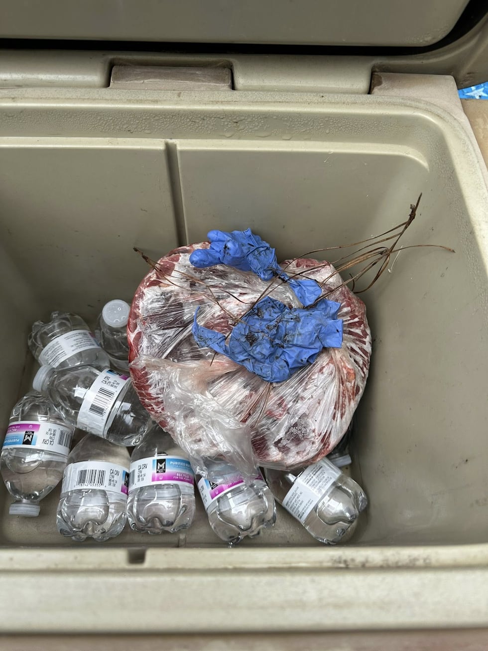 Investigation leads to arrests for vehicle theft, prostitution, narcotics in Houston County