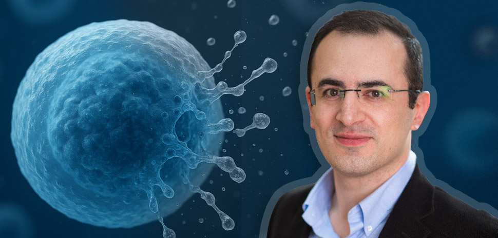 UT Southwestern Research Findings on Inflammatory Cell Death Could Lead to New Treatments for Sepsis, Crohn’s, Alzheimer’s, ALS, and Cancer » Dallas Innovates