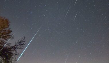 The year’s brightest meteor show takes center stage this weekend