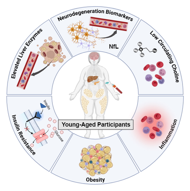 Obesity study findings