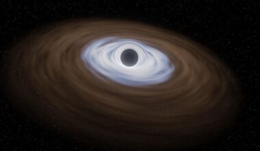 These celestial objects survive the supermassive black hole at the center of the Milky Way