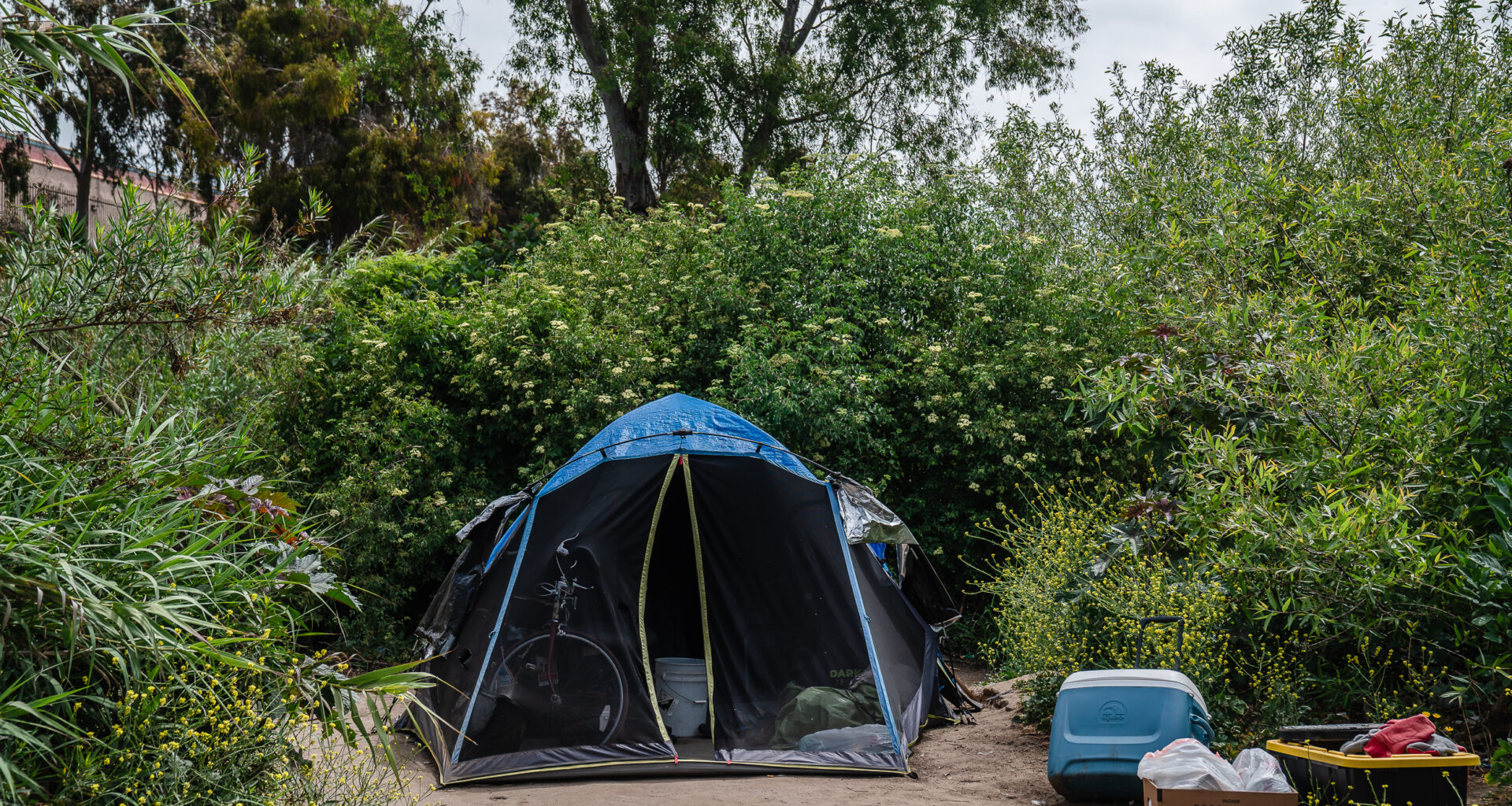 Top San Diego News Stories of 2025