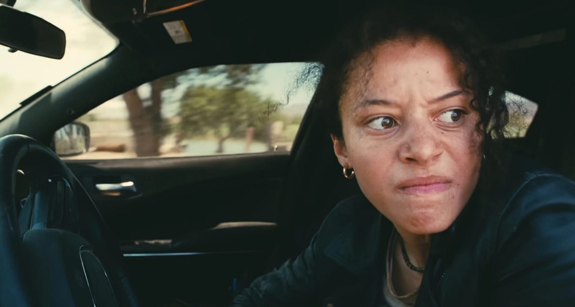 The 2025 Phoenix Critics Circle (PCC) Winners