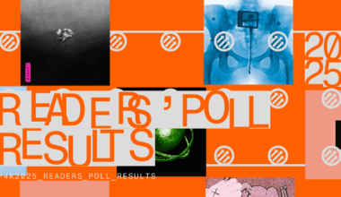 The Best Music of 2025, According to Pitchfork Readers