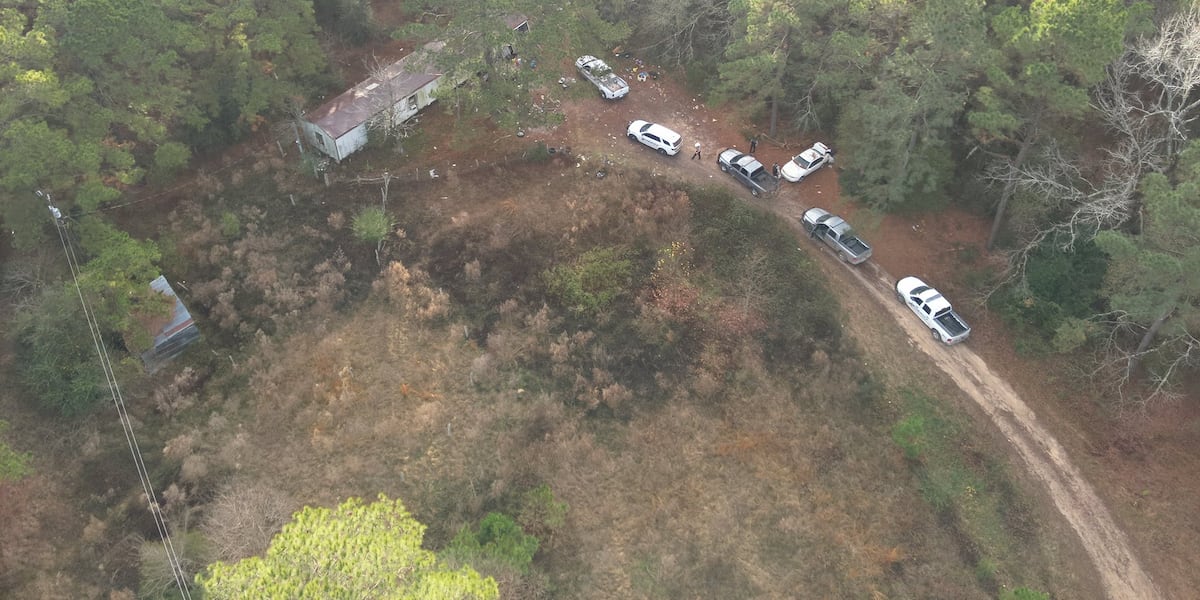 Investigation leads to arrests for vehicle theft, prostitution, narcotics in Houston County