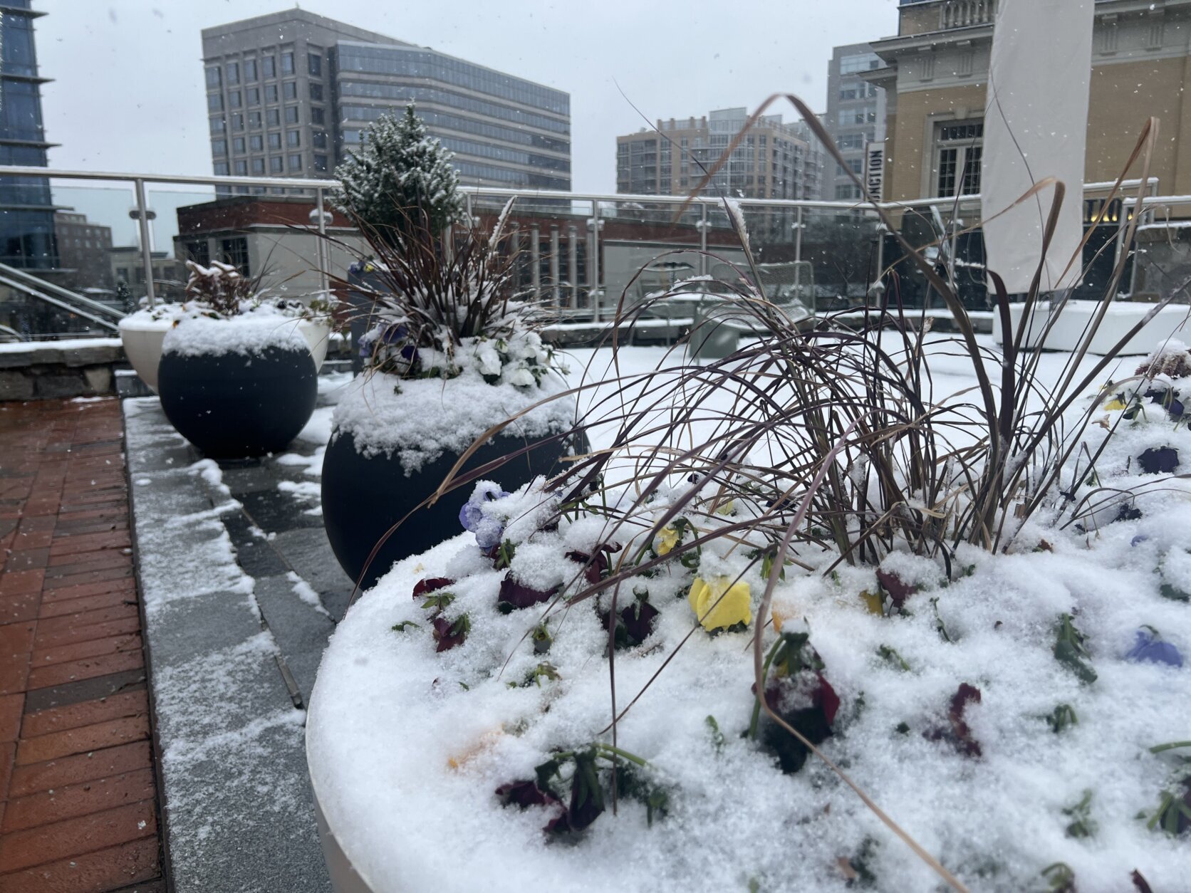 Snow-covered planters