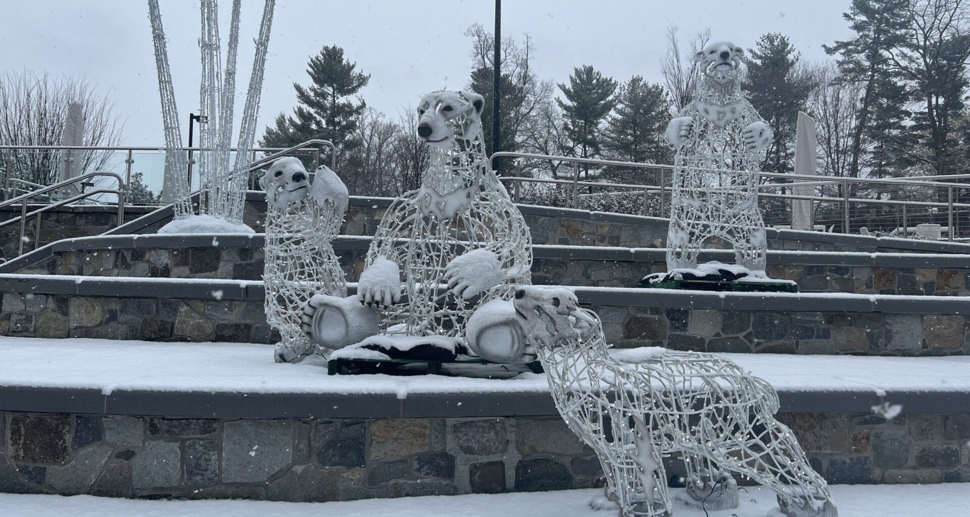 Increasing likelihood for snowfall this weekend in DC area