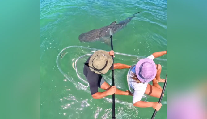 Photo: jay.and.loz // Instagram